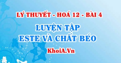 Luyện tập khái niệm, cấu tạo, phân loại, tính chất hoá học của Este và chất béo - Hoá 12 bài 4